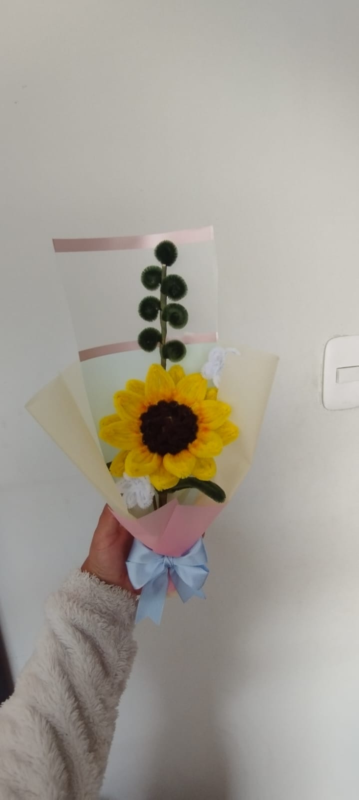 Girasol Solo